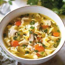 Homemade Chicken Noodle Soup Recipe