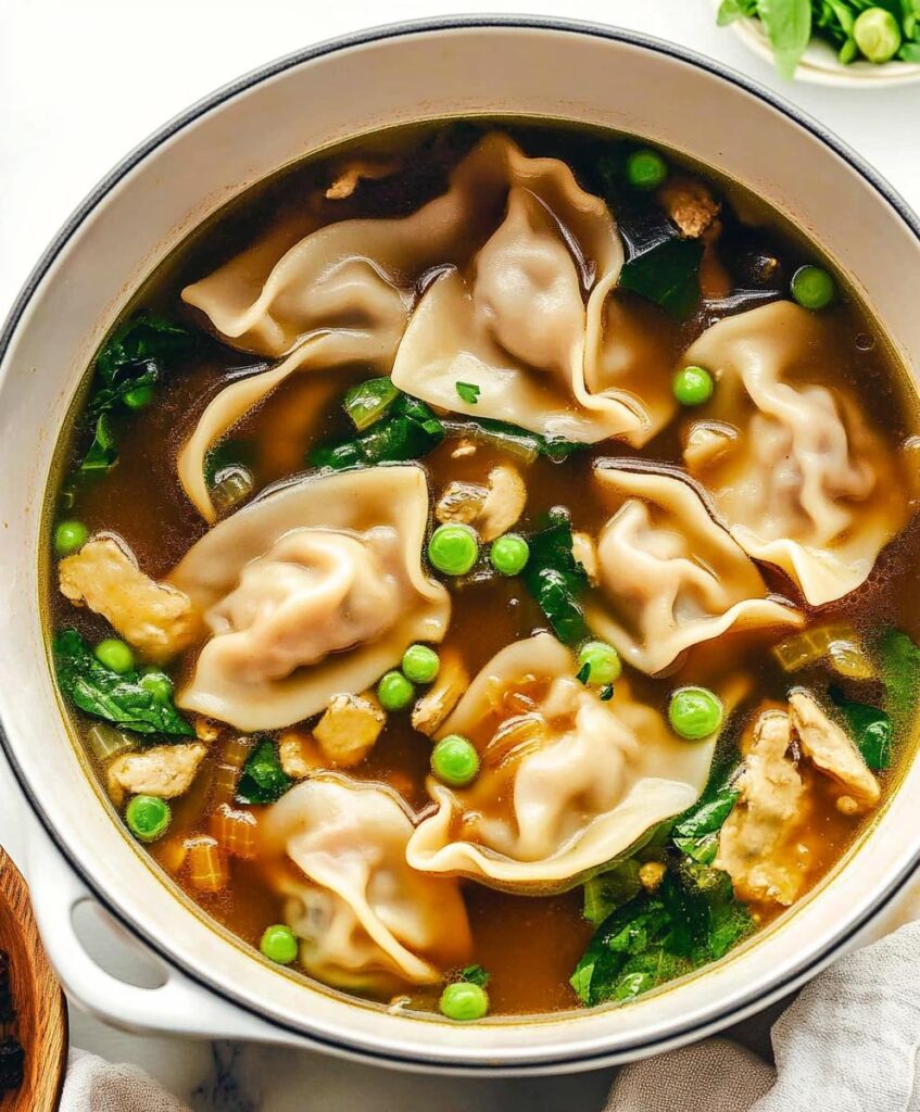 Potsticker Soup Recipe
